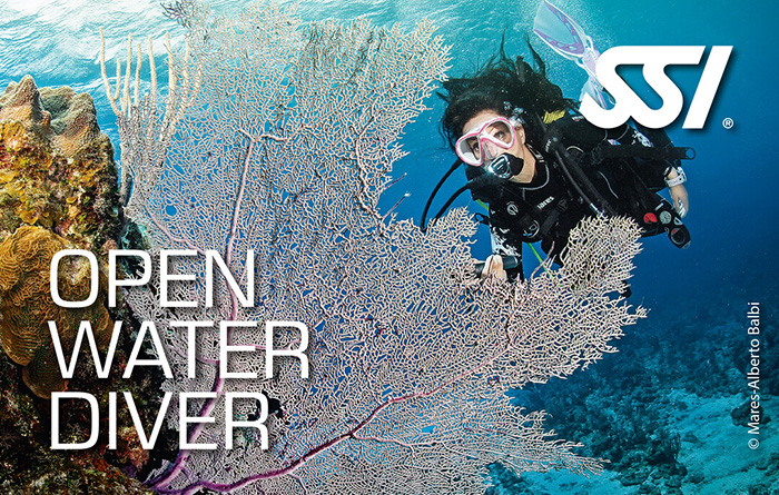 Tauchkurse Tauchzentrum Wien Open Water Diver